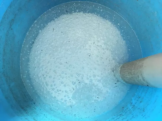 If you see water in your brine cabinet